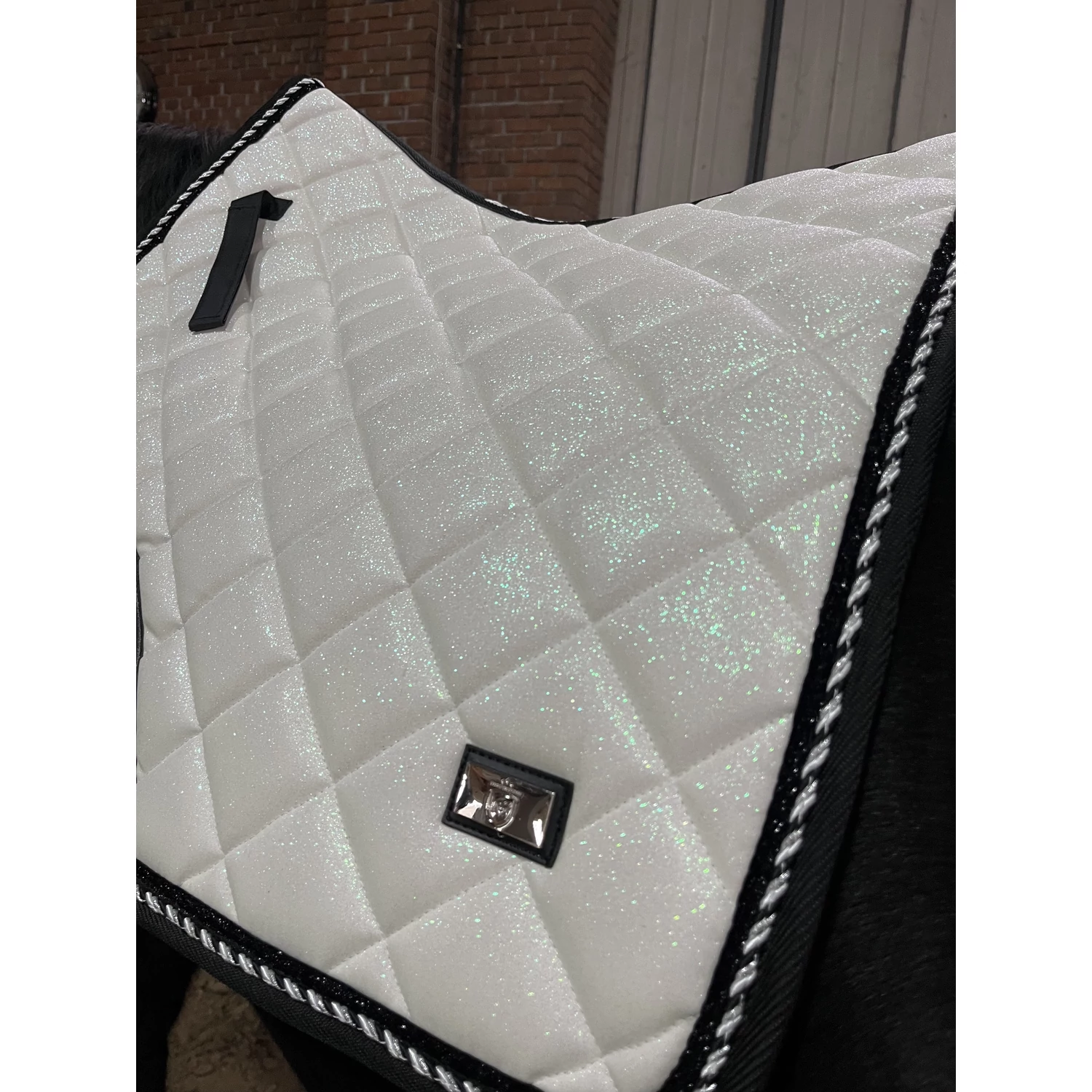 Sparkling White Dressage