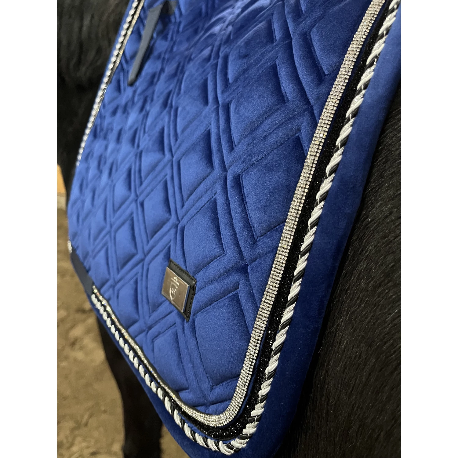Blue Velvet Dressage