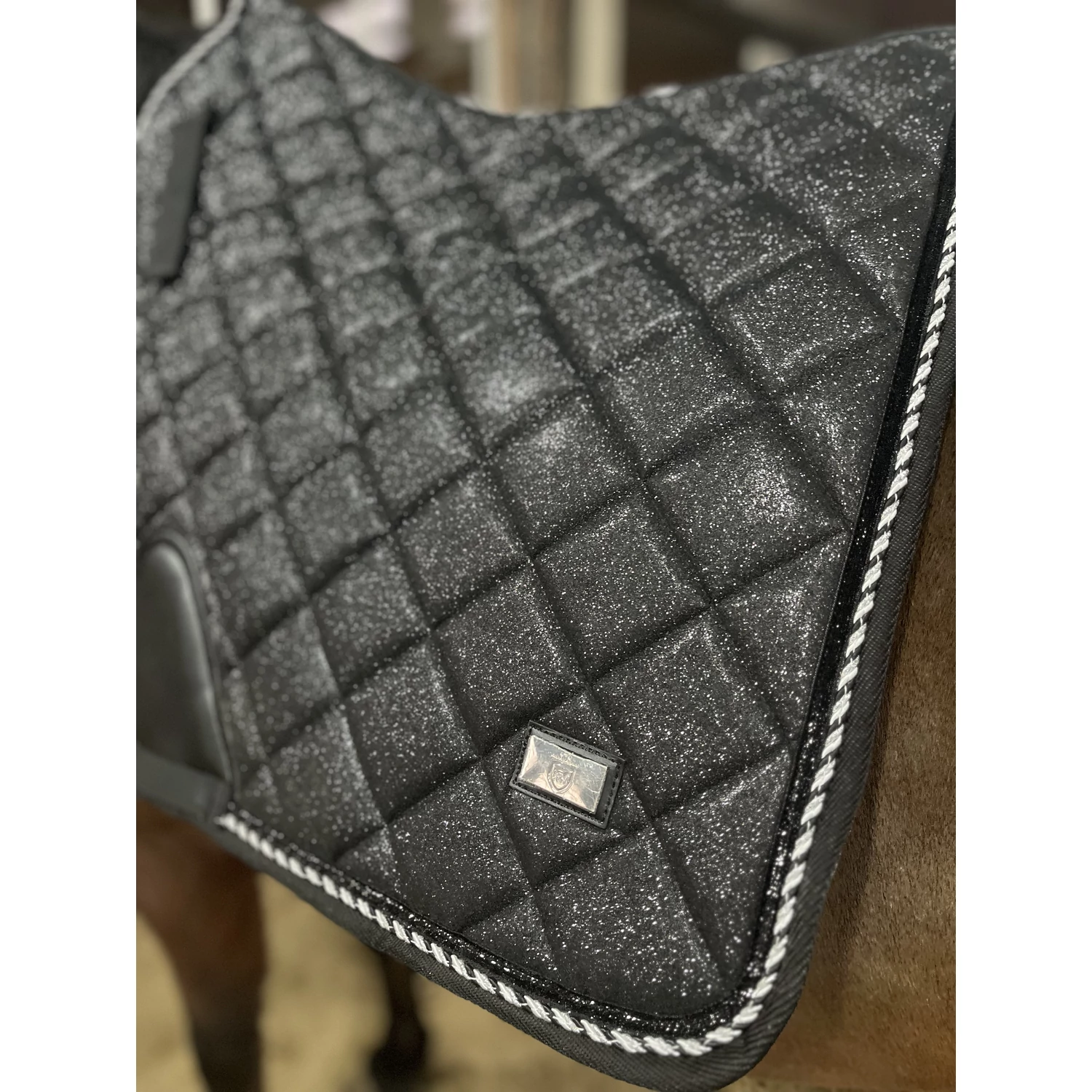 Sparkling Black Dressage